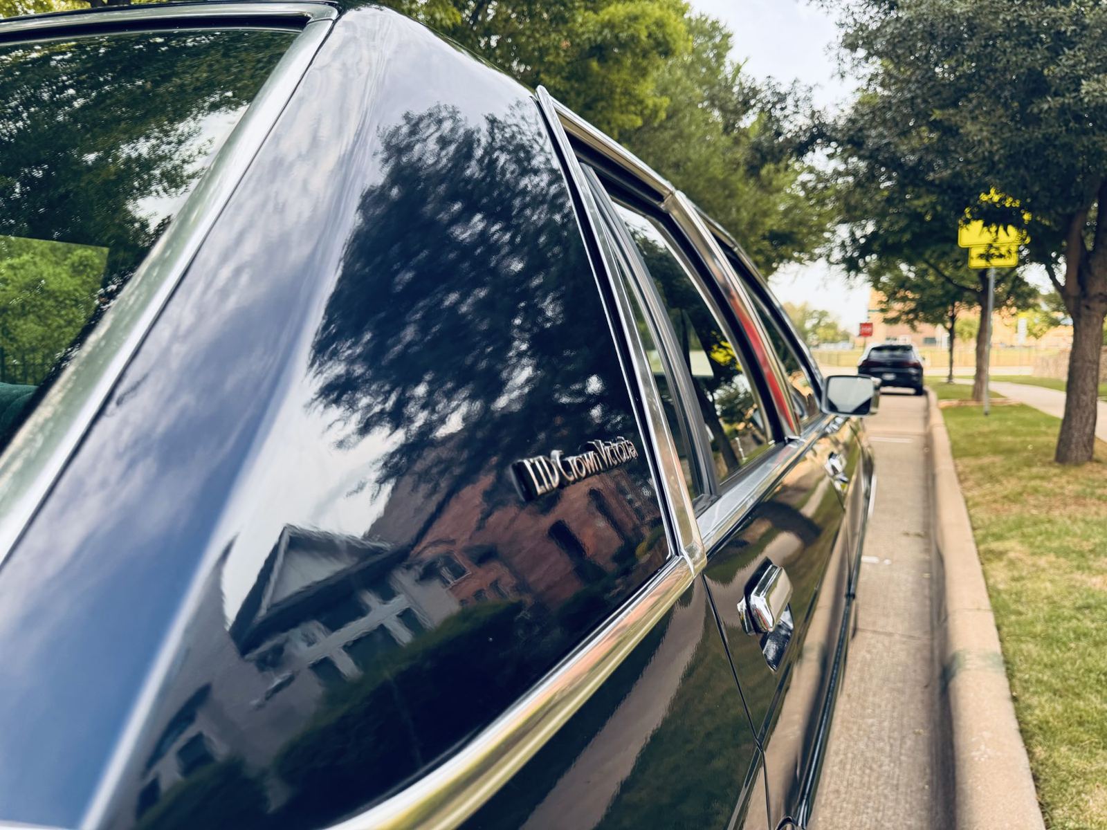 Trees reflected in the buffed paint along the roofline